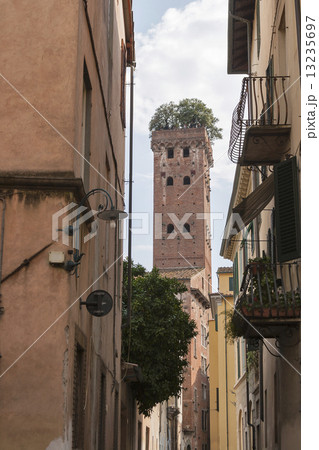 Guinigi tower in Lucca, Italy, with trees on the top Guinigi tower in Lucca, Italy, with trees on the top 13235697