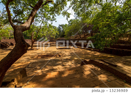 Gardens of Sigiriya Lion's rock fortress 13236989