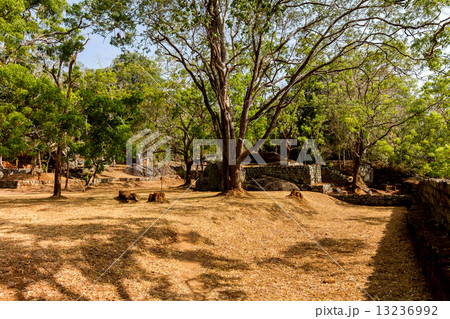 Gardens of Sigiriya Lion's rock fortress 13236992