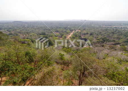 View from Sigiriya Lion's rock palace 13237002