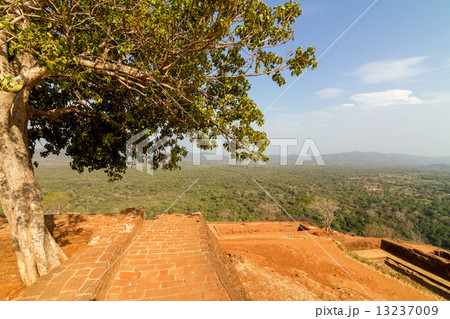 Ruins on top of Sigiriya Lion's rock palace 13237009