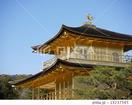 金閣寺 13237565