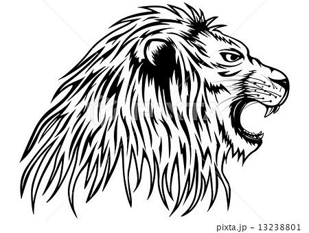 Lionのイラスト素材 13238801 Pixta