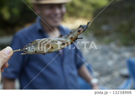Close up of a grilled fish. 13238906
