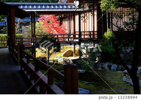 大覚寺の秋 大覚寺の秋 13238994