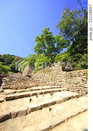 6月滋賀 安土城・大手道と石垣 13239007