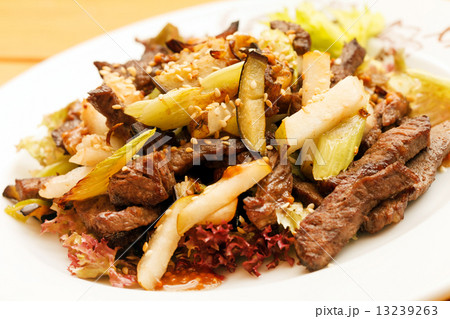 beef with vegetables 13239263