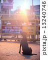 india 13240746
