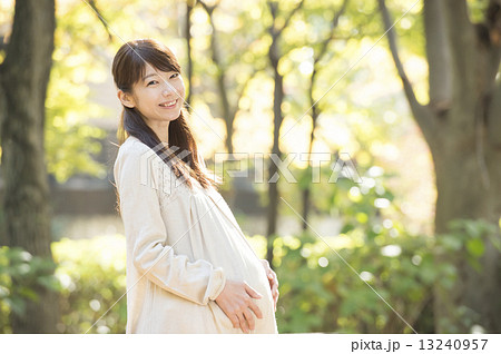 妊婦さん 13240957