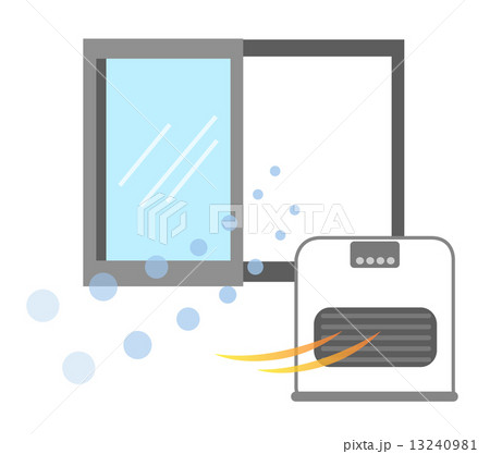 Web 13240981