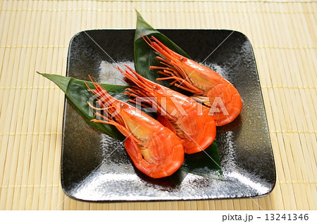 北海シマエビ 子持ち 北海シマエビ 子持ち 13241346