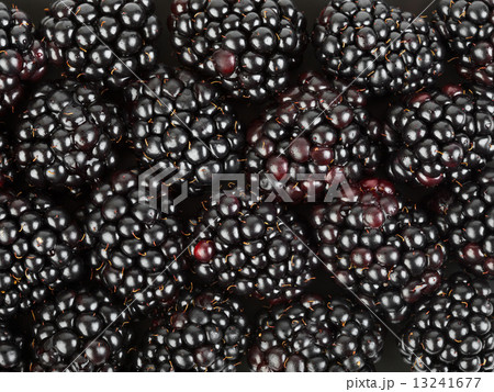 Blackberry background 13241677