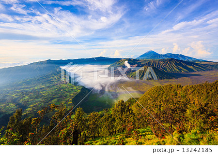 Bromo volcano at sunrise, East Java, Indonesia 13242185