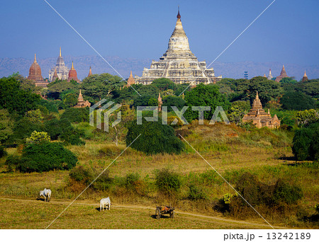 The Temples of bagan, Bagan, Myanmar 13242189