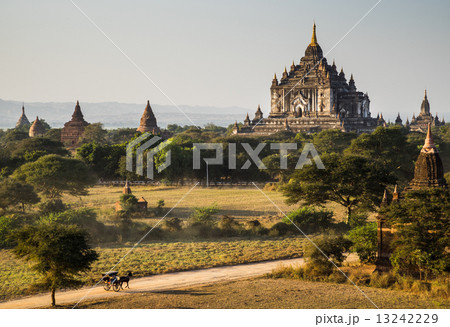 The Horse car in the plain of Bagan at sunset, Bagan, Myanmar 13242229