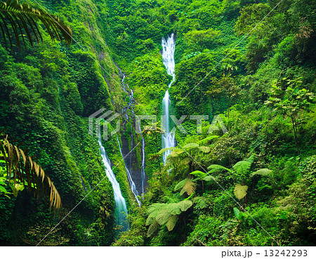 Madakaripura  Waterfall, East Java, Indonesia 13242293