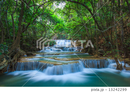 Deep forest Waterfall in Kanchanaburi, Thailand 13242299