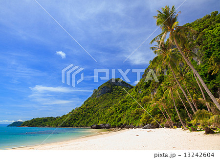 Bird eye view of Angthong national marine park, koh Samui, Thail 13242604