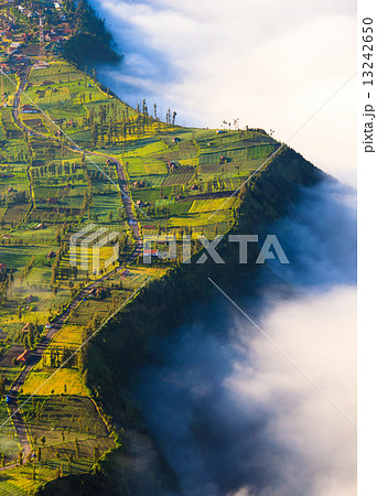 Village and Cliff at Bromo Volcano in Tengger Semeru, Java, Indo 13242650