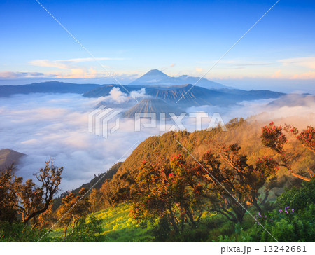 Bromo volcano at sunrise, East Java, Indonesia 13242681