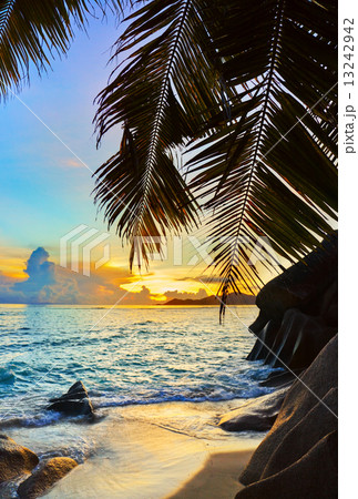 Tropical beach at sunset Tropical beach at sunset 13242942