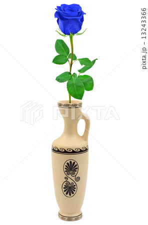 Blue rose in retro vase 13243366
