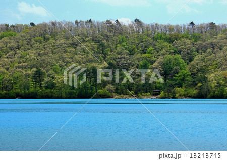 早春の潟沼（かたぬま） 13243745