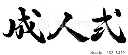 成人式のイラスト素材