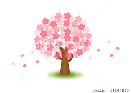 桜の木のイラスト素材