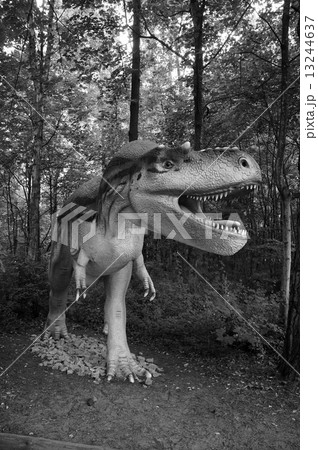Albertosaurus. Model of dinosaur in Jurassic park in Poland. Albertosaurus. Model of dinosaur in Jurassic park in Poland. 13244637
