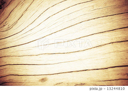 texture of bark tree for background 13244810