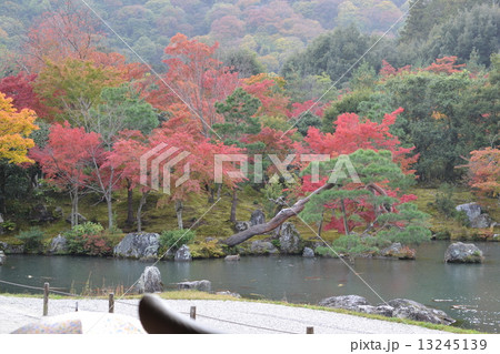 天龍寺の秋 13245139