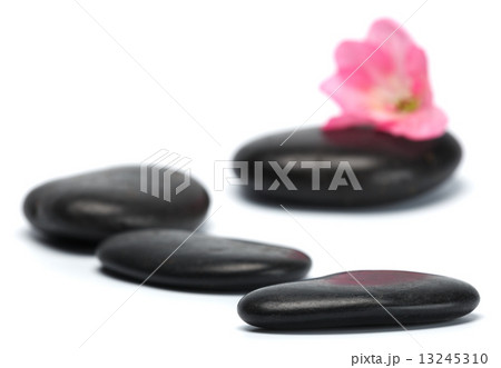 stones stones 13245310