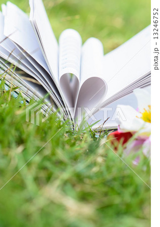 Book heart shape on grass, dept of field. Book heart shape on grass, dept of field. 13246752