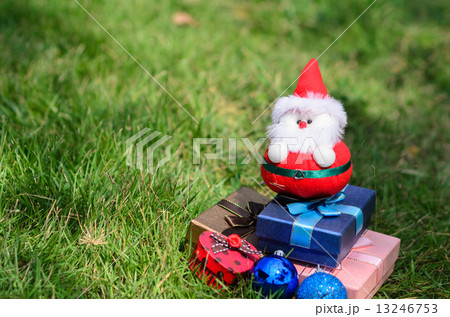 Santa doll with christmas decoration on green grass outdoor. 13246753