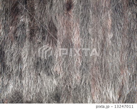 Mink fur.Background. 13247011