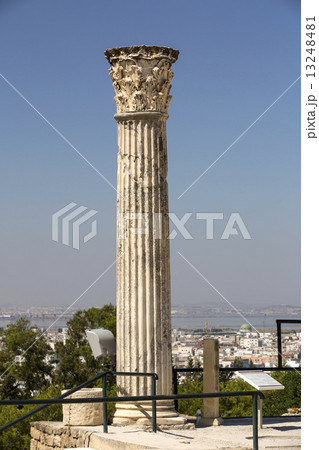 ruins of ancient Carthage Tunis Afrique 13248481