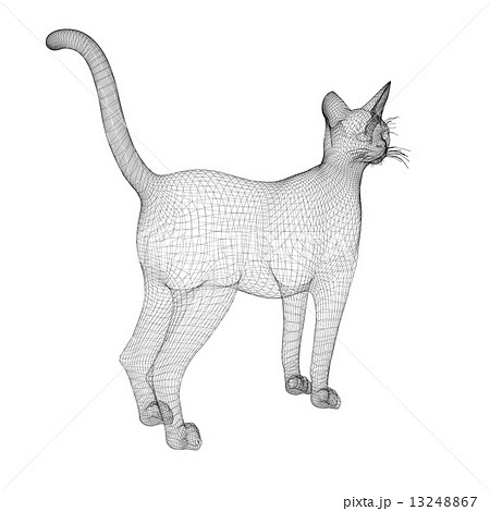 cat model 13248867