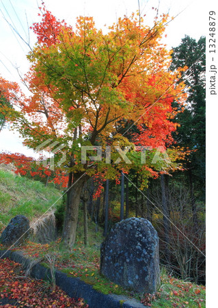 英彦山の紅葉 13248879