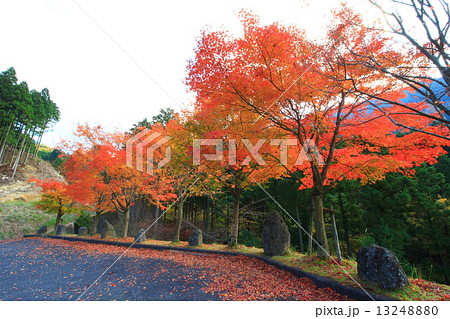 英彦山の紅葉 13248880