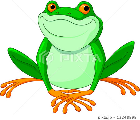 Frog 13248898