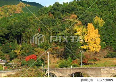 紅葉の山 13249009