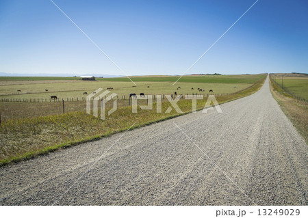 Gravel Road in the Countryside Gravel Road in the Countryside 13249029