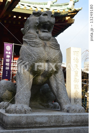 狛犬(阿形像)(神田神社/東京都千代田区外神田) 狛犬(阿形像)(神田神社/東京都千代田区外神田) 13249180