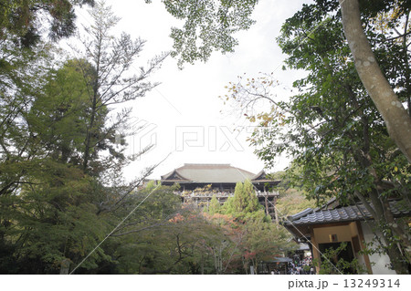 京都観光 京都観光 13249314