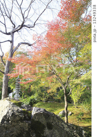 京都観光 京都観光 13249338