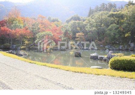 京都観光 京都観光 13249345