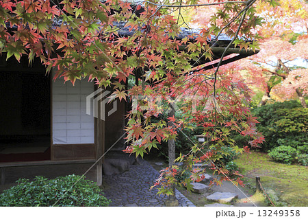 京都観光 13249358