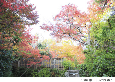 京都観光 13249367