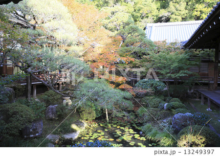京都観光 13249397